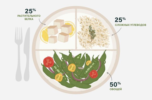 Здоровое питание Веганская тарелка