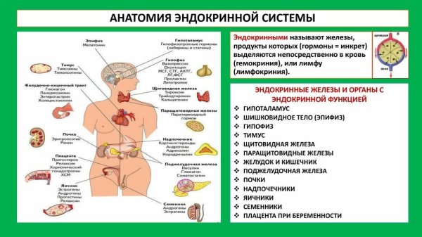 Патология желез внутренней секреции