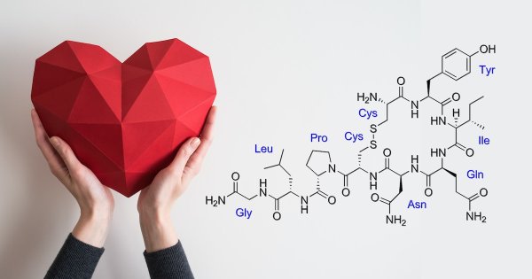 Гормоны рисунок