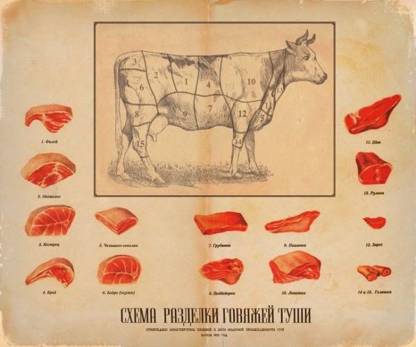 Схема разделки говяжьей туши СССР