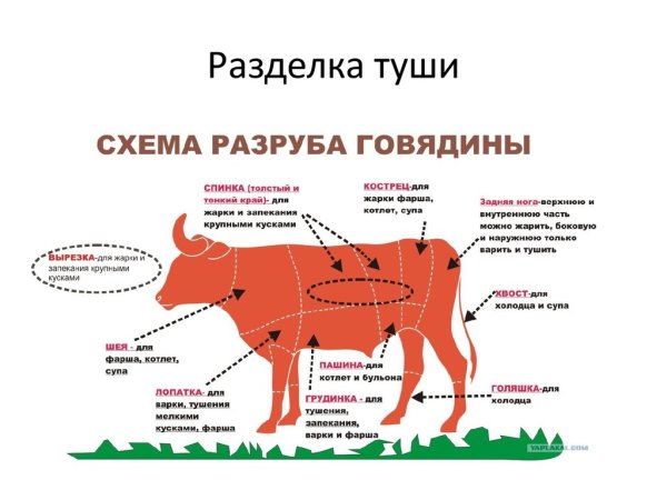 Говядина бык разруб схема