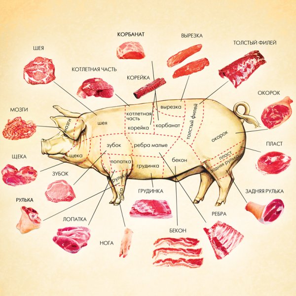 Мясные части коровы