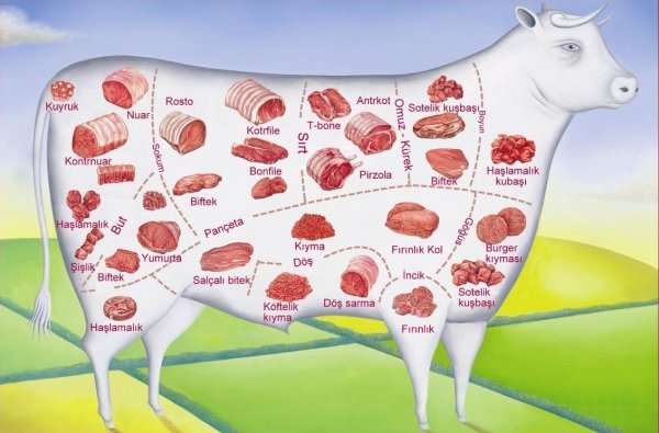 Разделка туши говядины схема