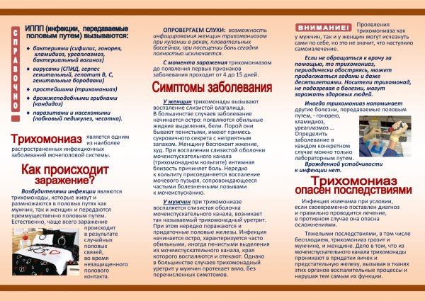 Брошюра профилактика инфекций передающихся половым путем