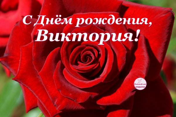 С днем рождения