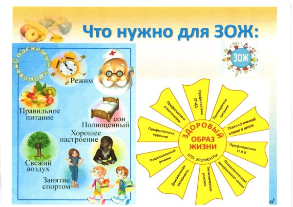 Здоровы йоьраз жизни для детей