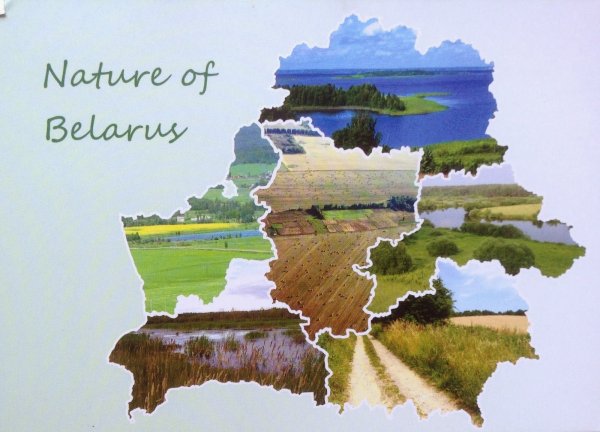 Контур Беларуси красивый