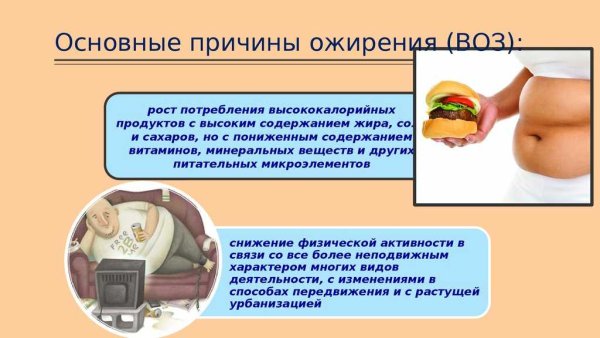 Ожирение причины и профилактика