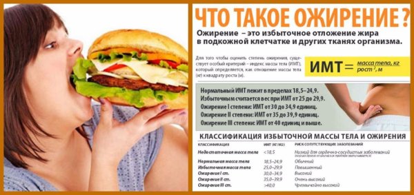 Ожирение болезнь 21 века