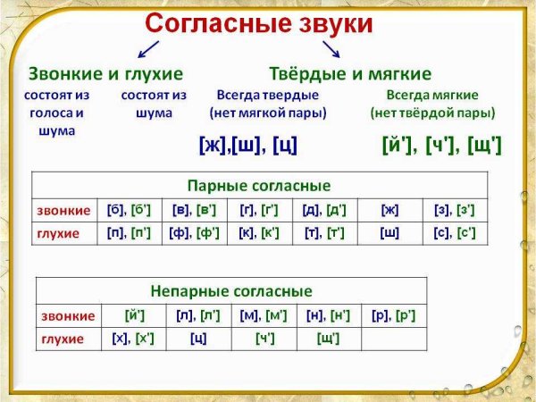 Таблица гласных согласных звонких глухих твердых мягких
