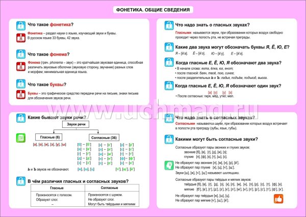 Фонетика русского языка