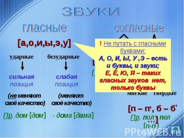 Таблица твердых и мягких согласных звуков звонких и глухих
