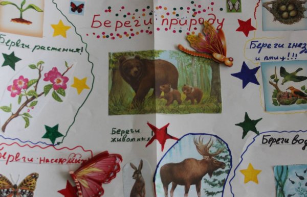 Плакат охрана природы