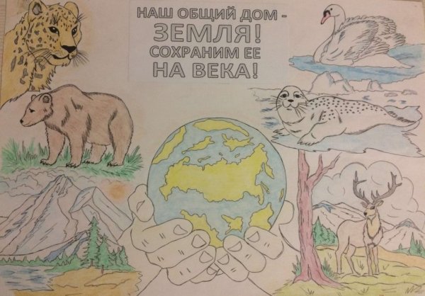 Плакат защита природы