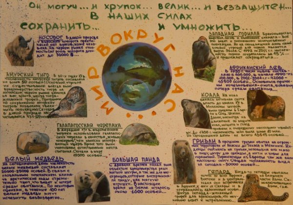 Плакат про животных