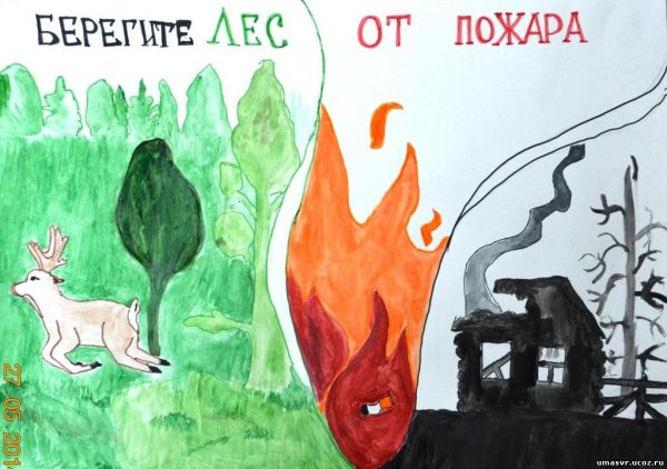 Плакат "берегите лес!"