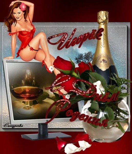 Поздравления с днём рождения мужчине Игорю