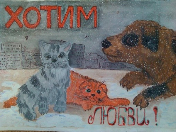 Конкурс рисунков бездомные животные