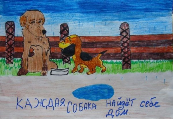 Плакат на тему бездомные животные