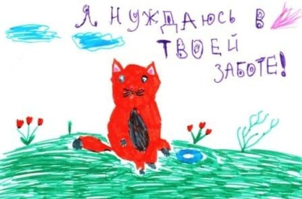 Рисунки детей на тему бездомные животные