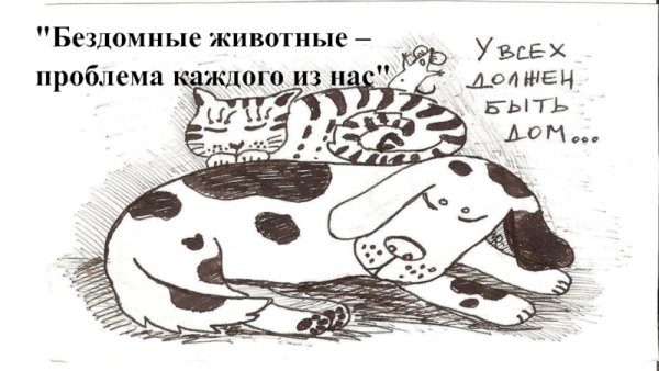 Плакат о бездомных животных