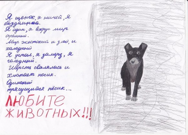 Плакат на тему бездомных животных