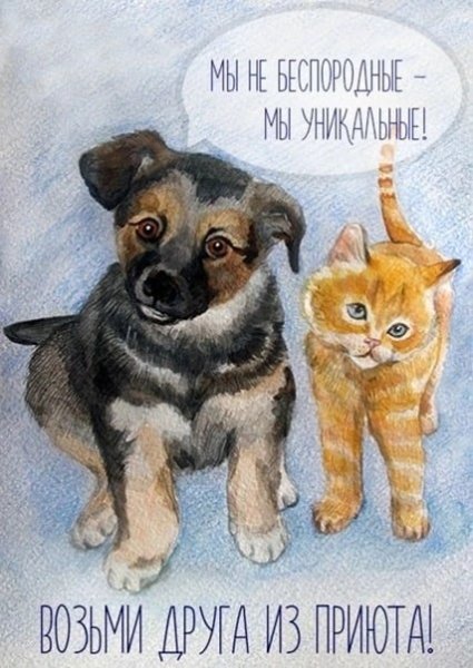 Плакат о бездомных животных