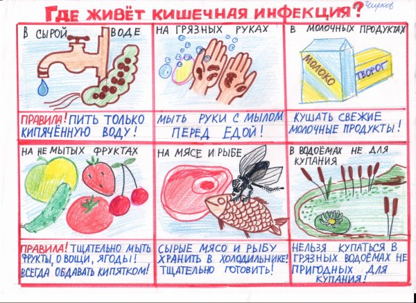 Меры профилактики желудочно-кишечных инфекций
