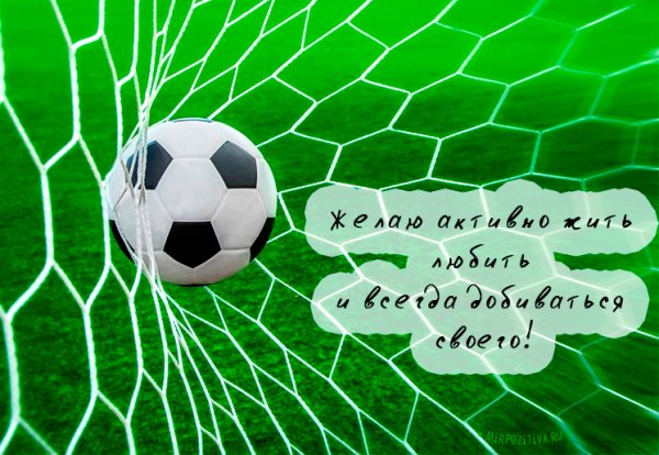 Футбол на прозрачном фоне