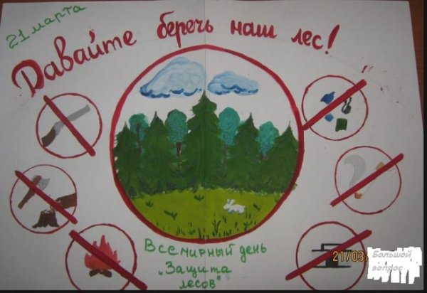 Плакат береги лес