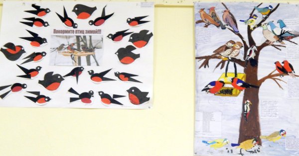 Плакат птицы зимой