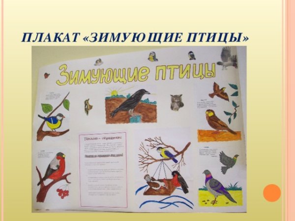 Плакат. Зимующие птицы.