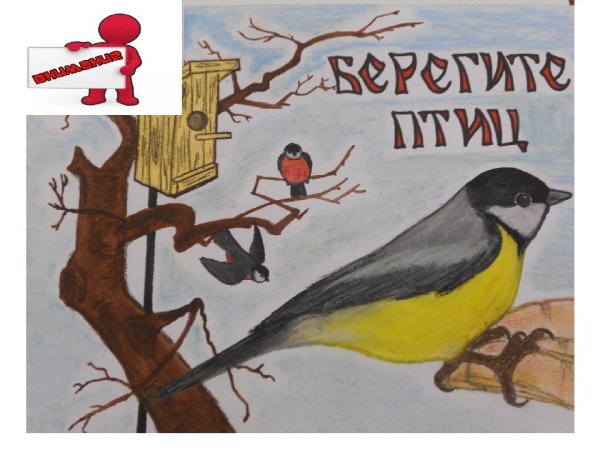 Листовка Покормите птиц