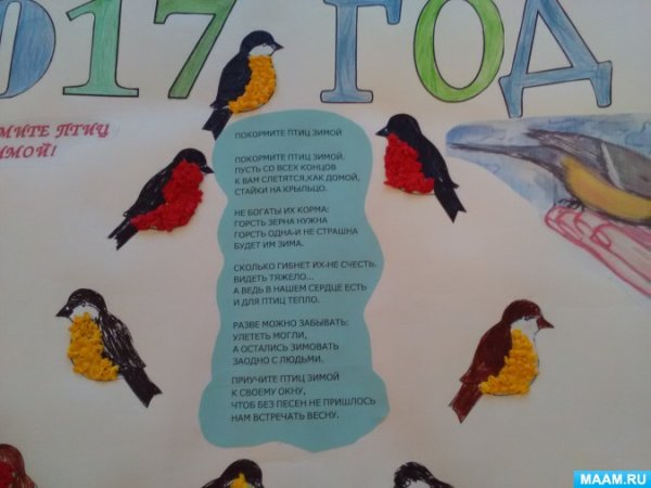 Плакат в защиту птиц