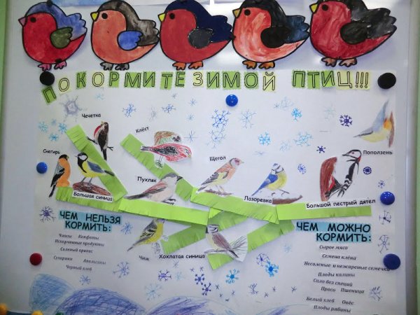 Накорми зимующих птиц плакат