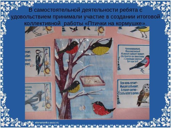 Плакат береги птиц