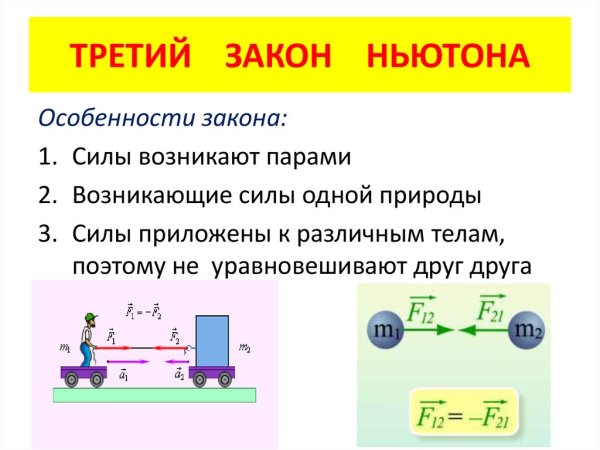 Сила действия равна силе противодействия 3 закон Ньютона