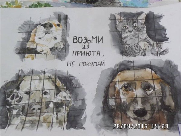 Приют для животных иллюстрации