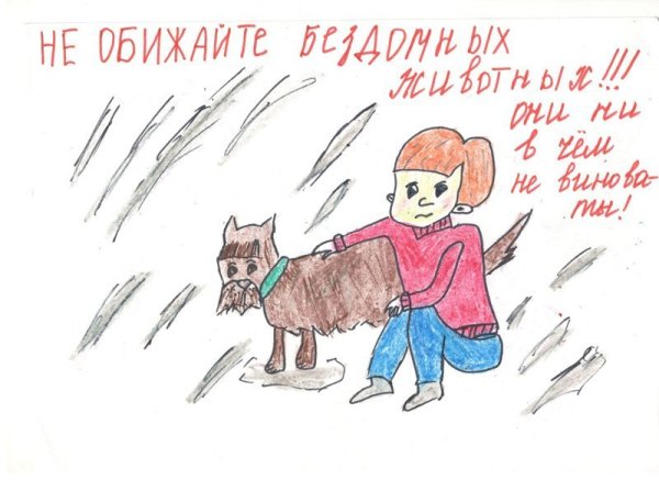 Рисунки бездомных животных