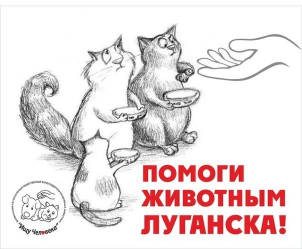 Плакаты в защиту бездомных животных