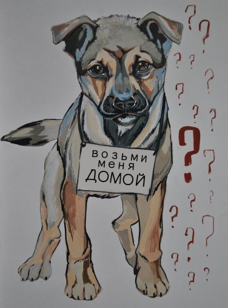 Плакат о бездомных животных