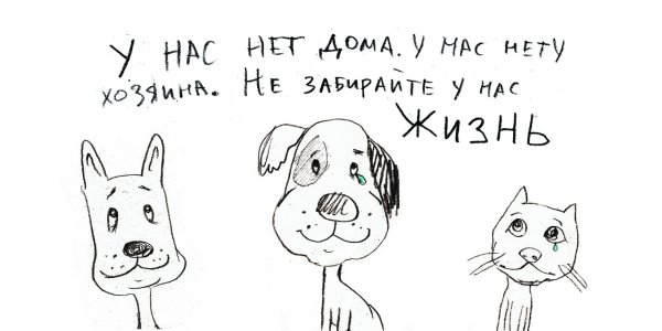 Плакаты в защиту бездомных животных