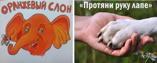 Протяни руку лапам