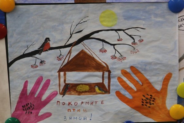 Плакат Покормите птиц