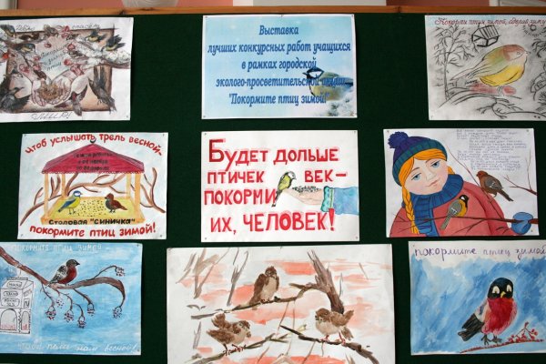 Листовка берегите птиц