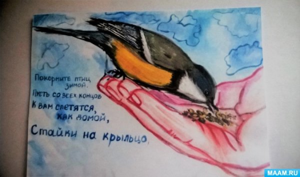 Защита птиц зимой