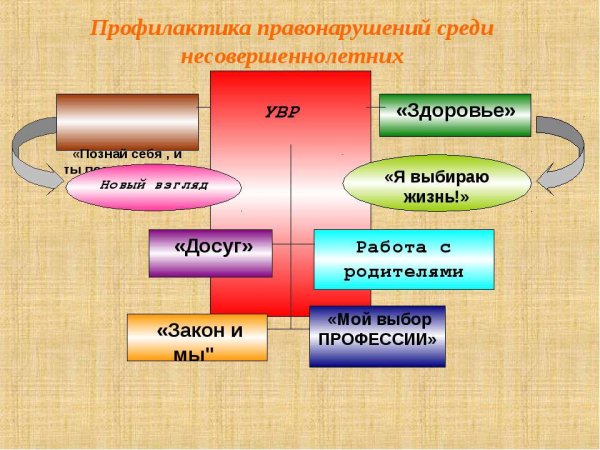 Профилактика правонарушений