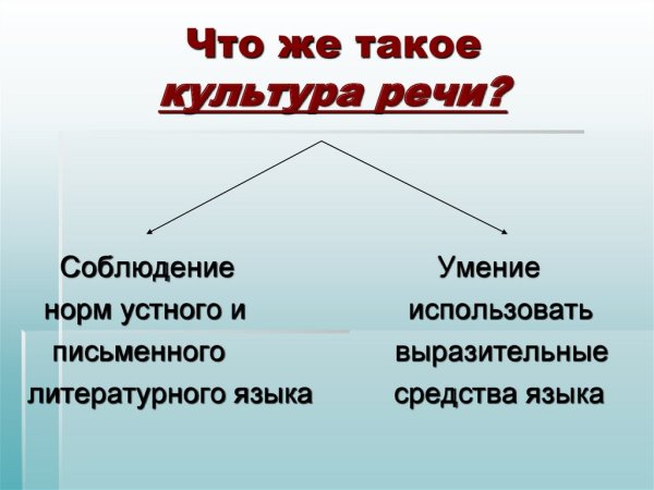 За чистоту русского языка плакат