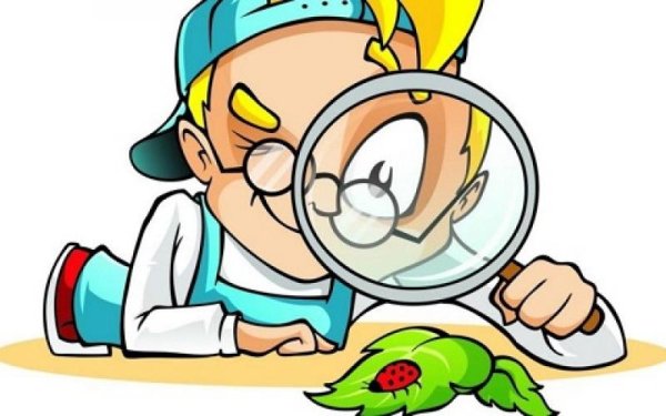 Мульт профессор Почемушкин