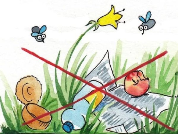 Не мусорить на природе